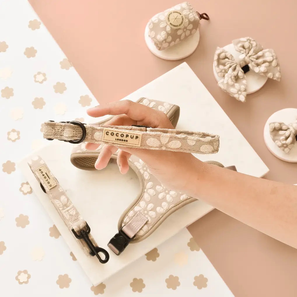 Luxe Puppy Collar - Mocha Flower