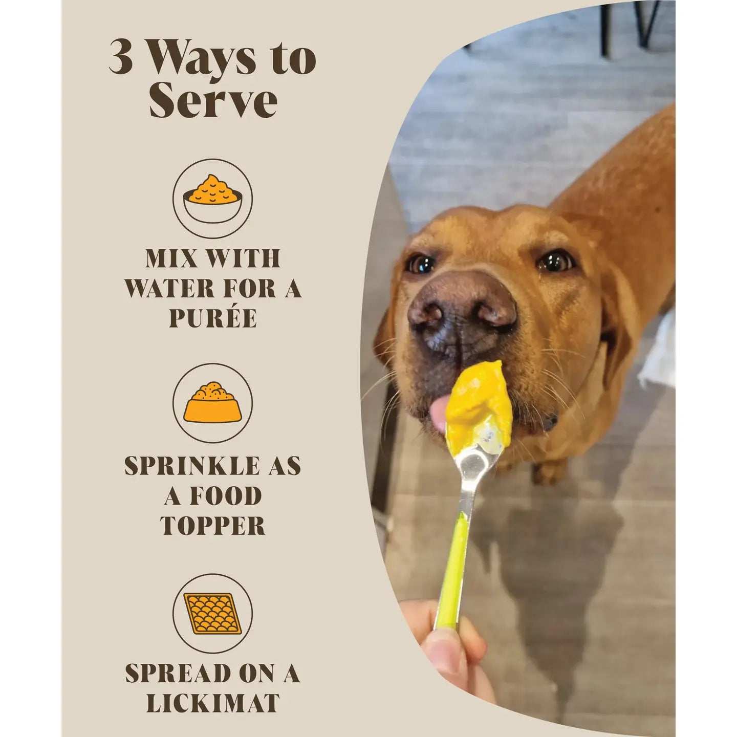 Pre & Probiotics For Dogs | Real Pumpkin Powder + Probiotic - TOODIPET