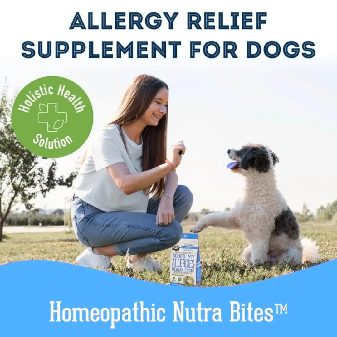 Dog Supplements- Immunity Support Dog Herbal Bites - TOODIPET