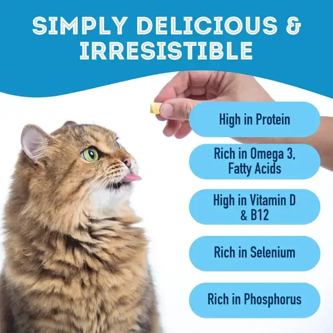 Cod Skin Dehydrated Pet Treats: High-Protein & Low-Calorie - TOODIPET