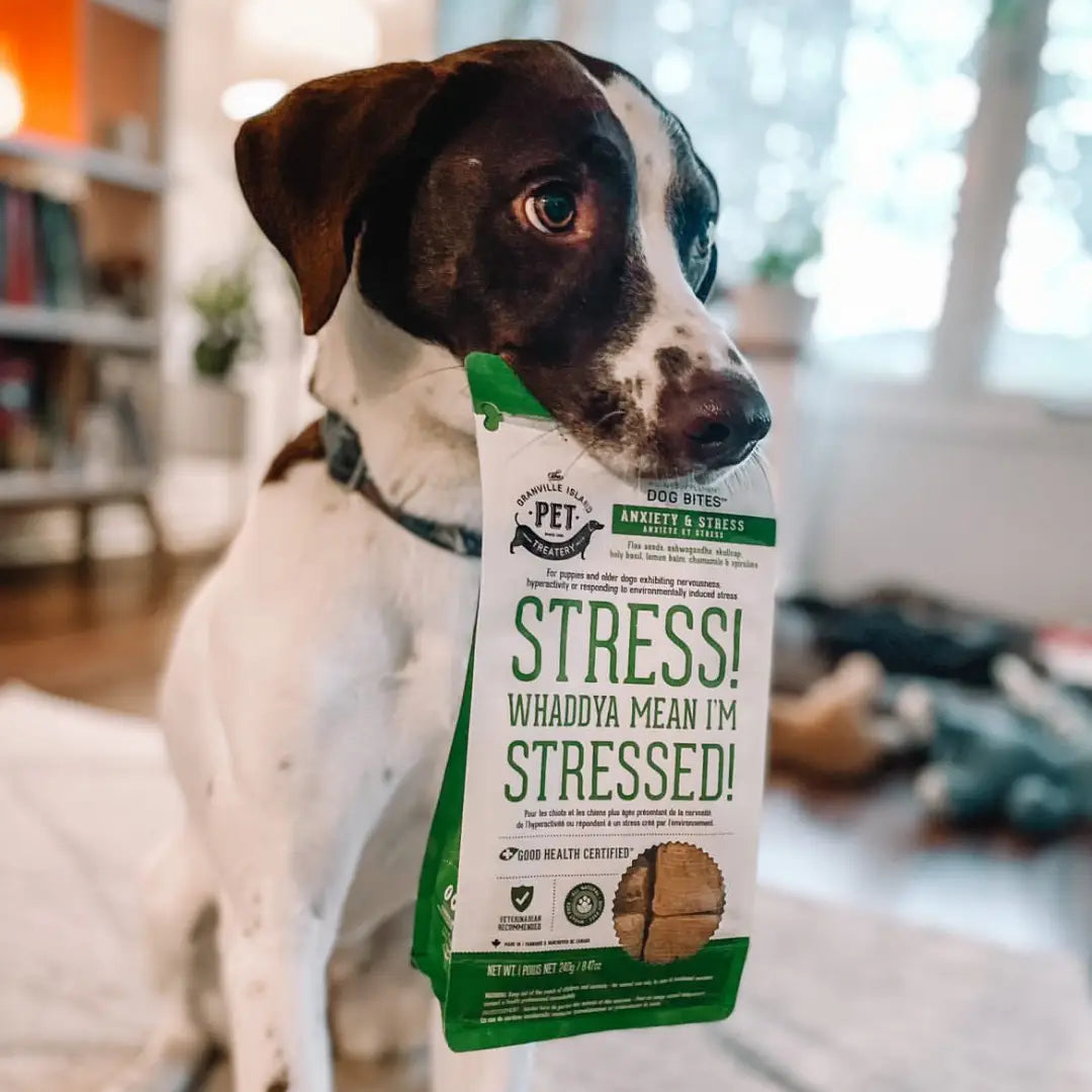 Dog Supplements-Stress & Anxiety Supplement Dog Herbal Bites - TOODIPET