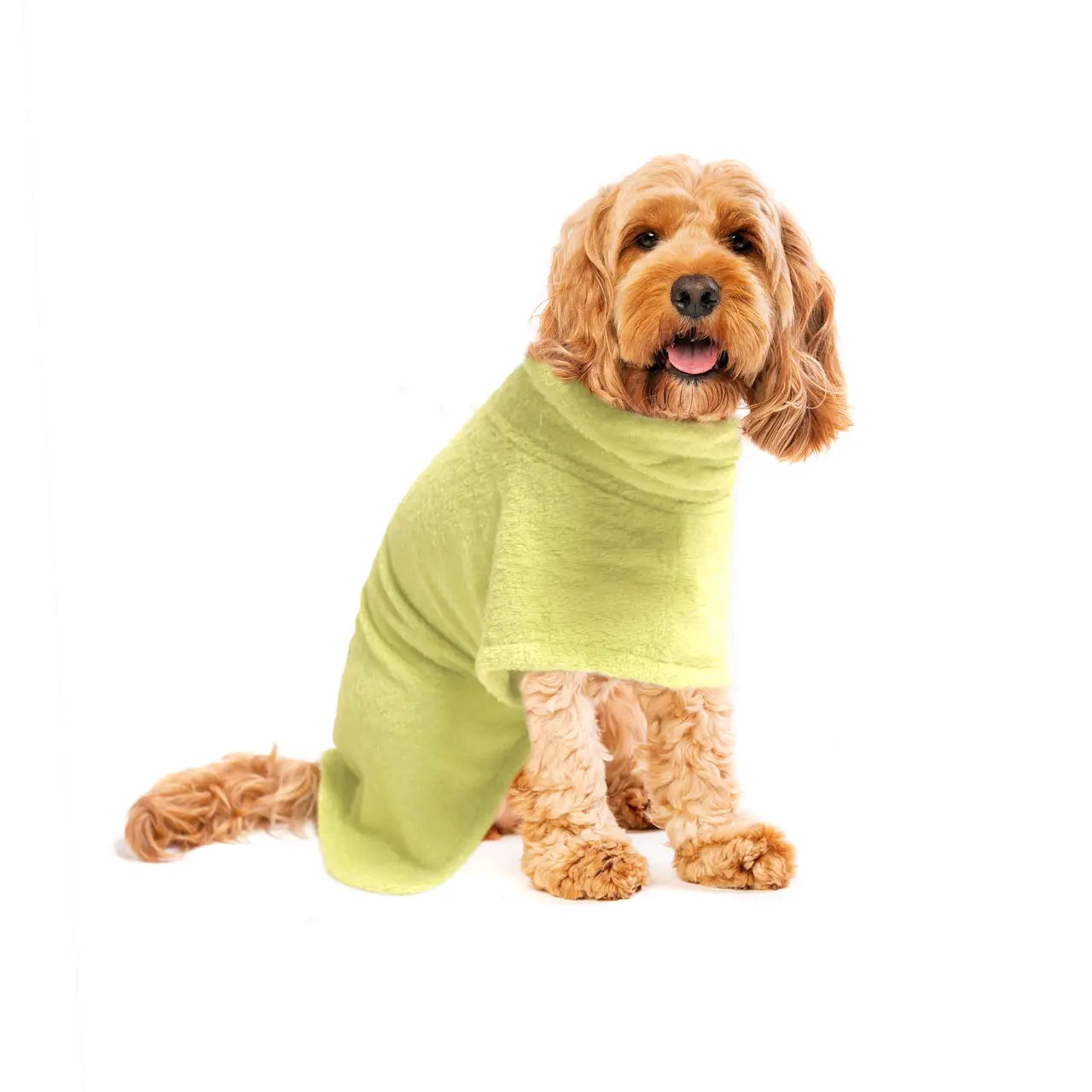 Limited Edition Organic Bamboo Dog Bathrobe (Xs - Xl) - TOODIPET