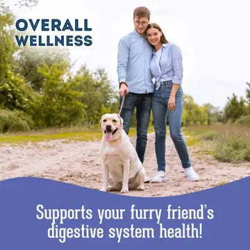 Dog Supplements- Digestion Supplement Herbal Bites - TOODIPET