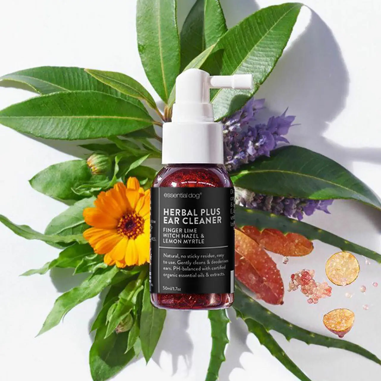 Herbal Dog Ear Cleaner (Finger Lime & Lemon Myrtle) - TOODIPET