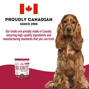 Soft & Chewy Supplement Hip & Joint Supplement For Dogs 150g - TOODIPET