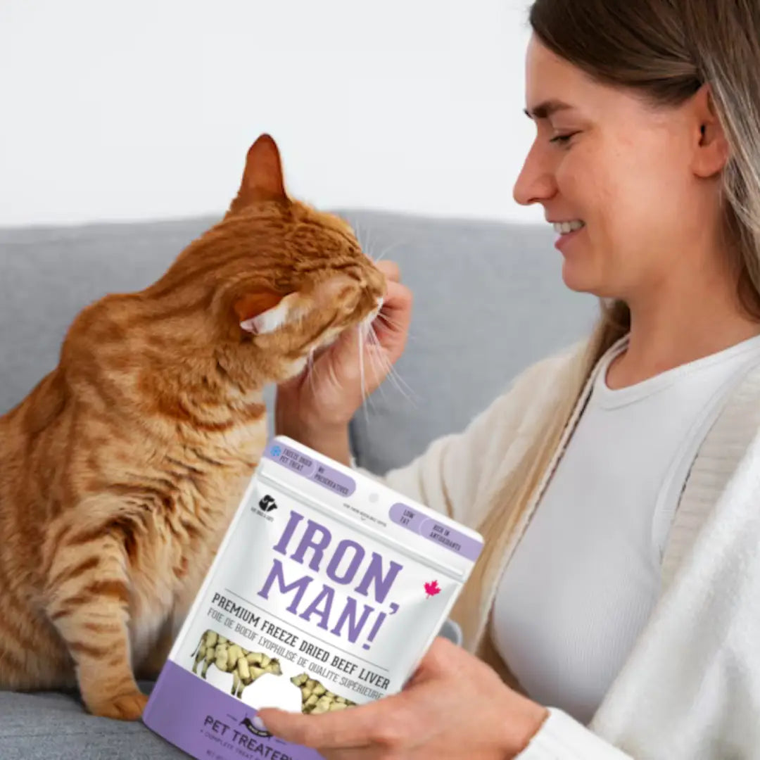 Beef Liver Freeze-Dried Pet Treats: Protein & Nutrient Rich - TOODIPET