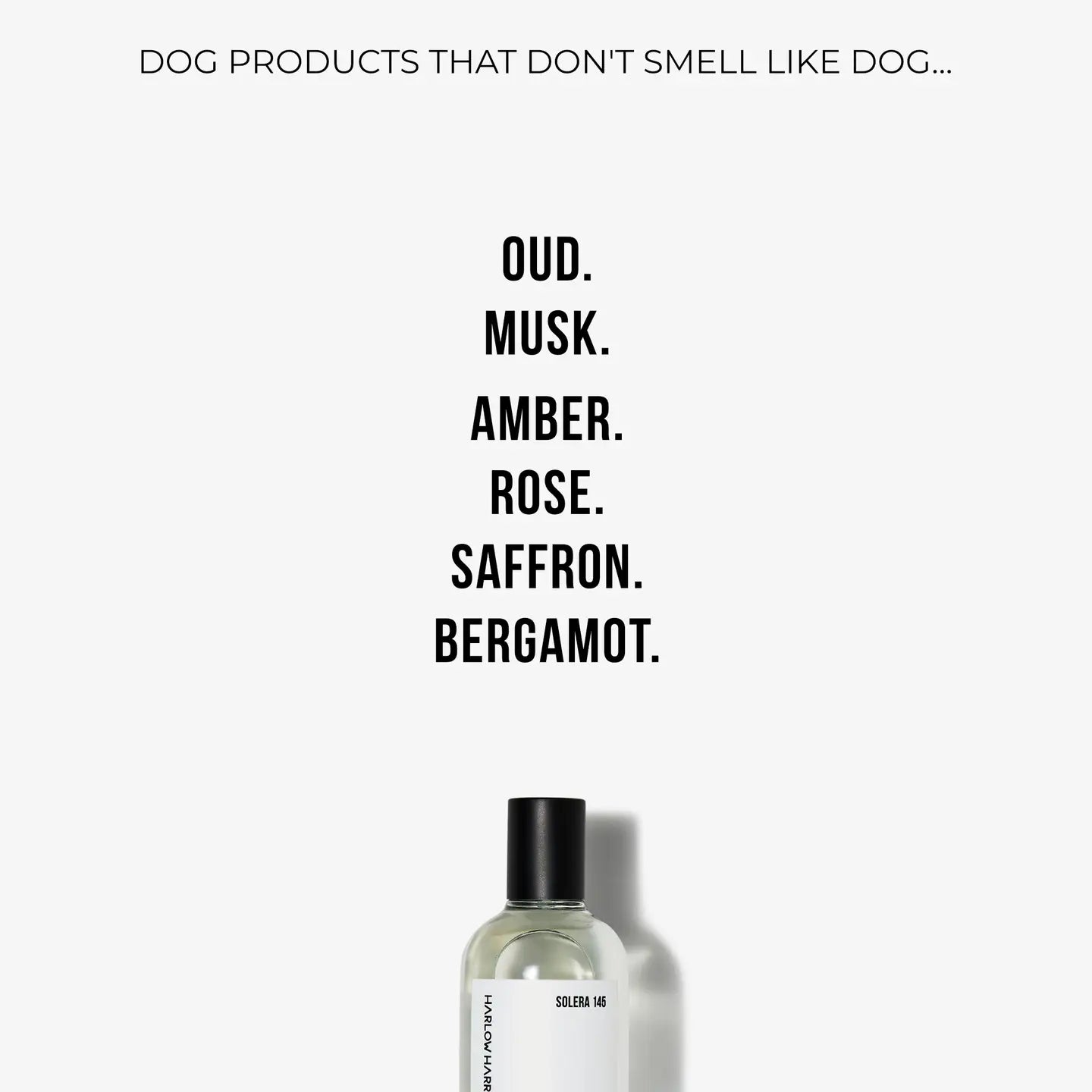 Dog Perfume | Solera 145