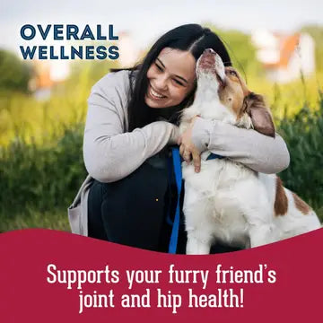 Dog Supplements- Joint & Bone Supplement Dog Herbal Bites - TOODIPET