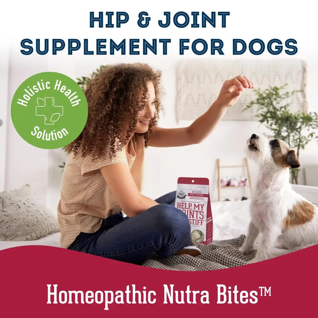 Dog Supplements- Joint & Bone Supplement Dog Herbal Bites - TOODIPET