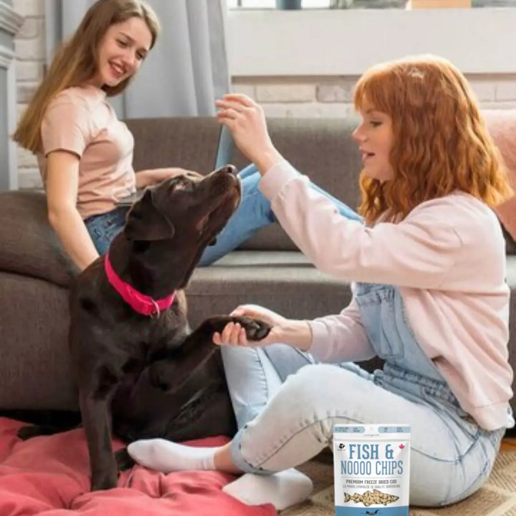 Cod Skin Dehydrated Pet Treats: High-Protein & Low-Calorie - TOODIPET