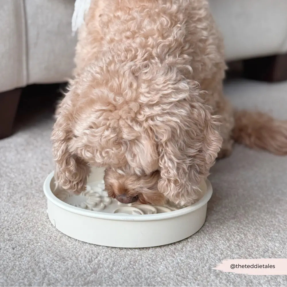 Silicone Slow Feed Puppy Dog Bowl - Cream Flowers