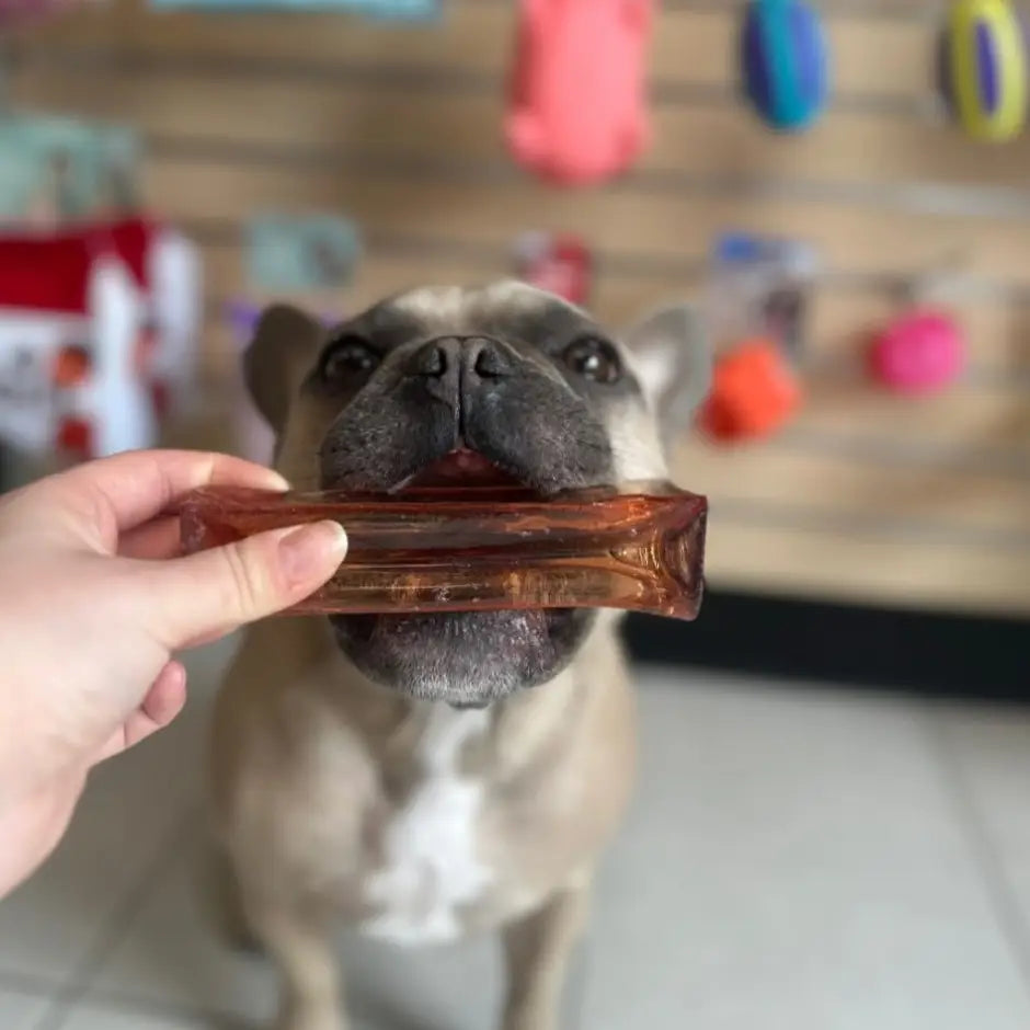 Mighty Marrows - Collagen Dental Chews Bacon Puppy Bone - TOODIPET