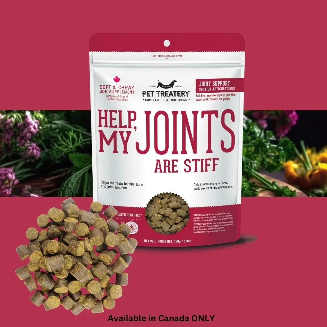 Soft & Chewy Supplement Hip & Joint Supplement For Dogs 150g - TOODIPET