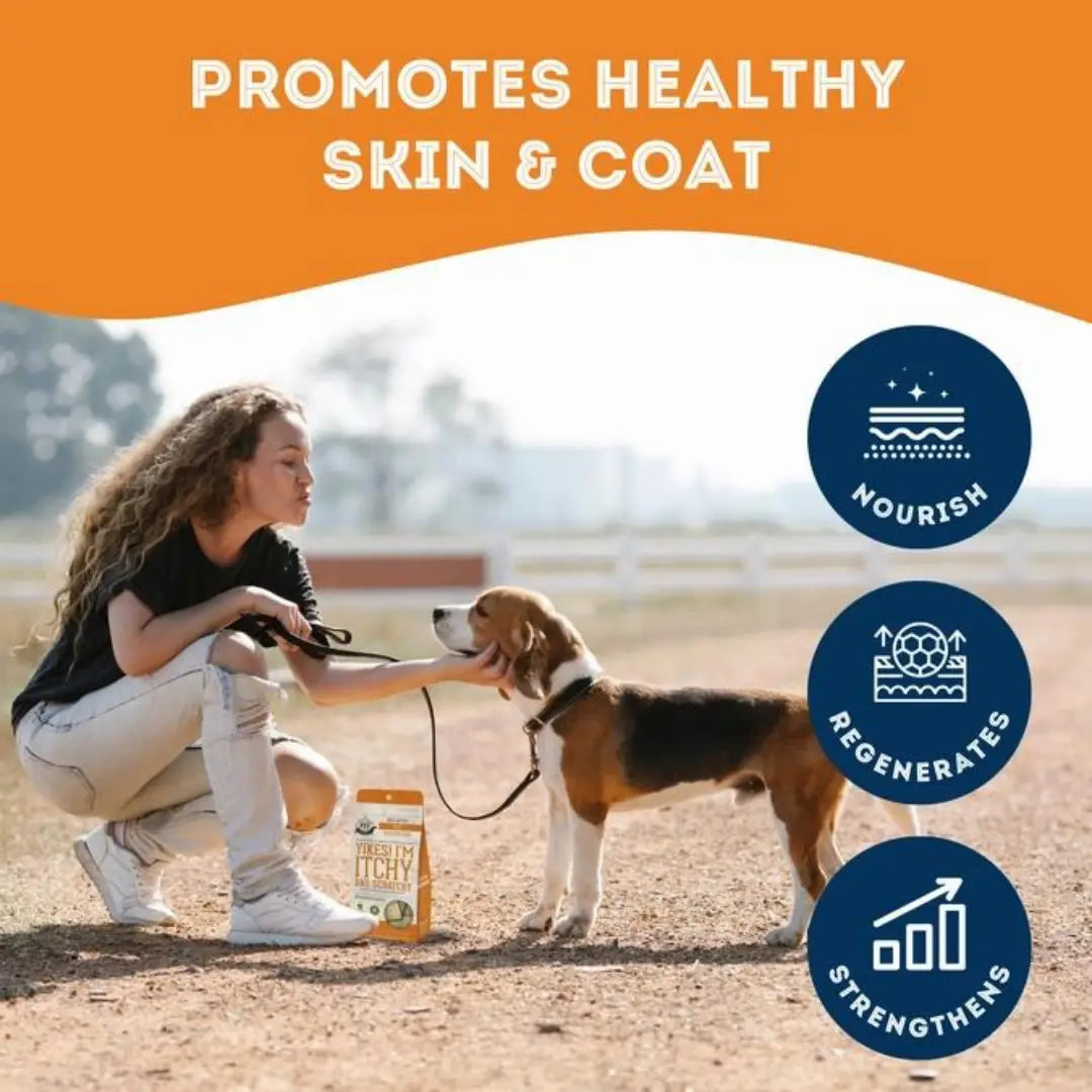 Dog Supplements- Skin & Coat Supplement Dog Herbal Bites - TOODIPET