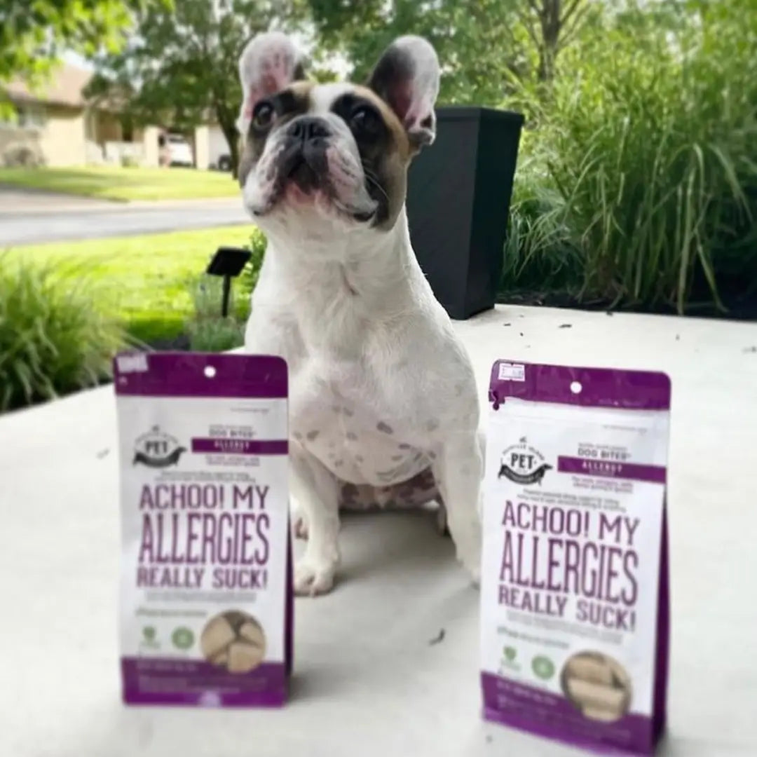 Dog Supplements- Allergy Support Dog Herbal Bites - TOODIPET