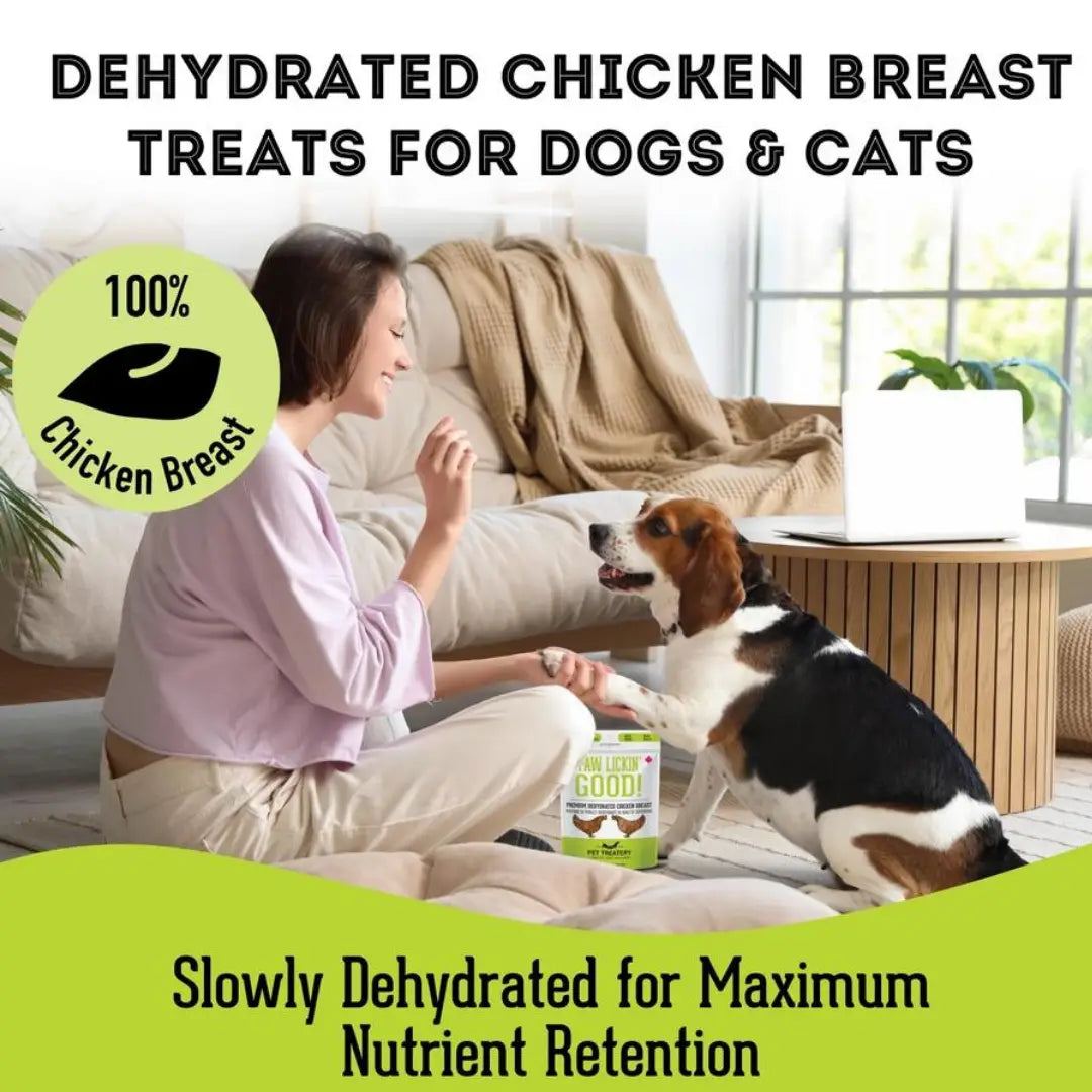 Chicken Breast Dehydrated Pet Treats: High-Protein & Vitamin - TOODIPET