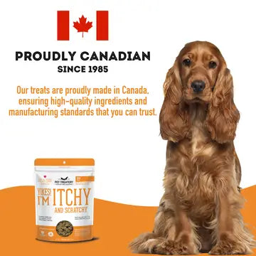 Soft & Chewy Supplement- Skin & Coat For Dogs 150g - TOODIPET