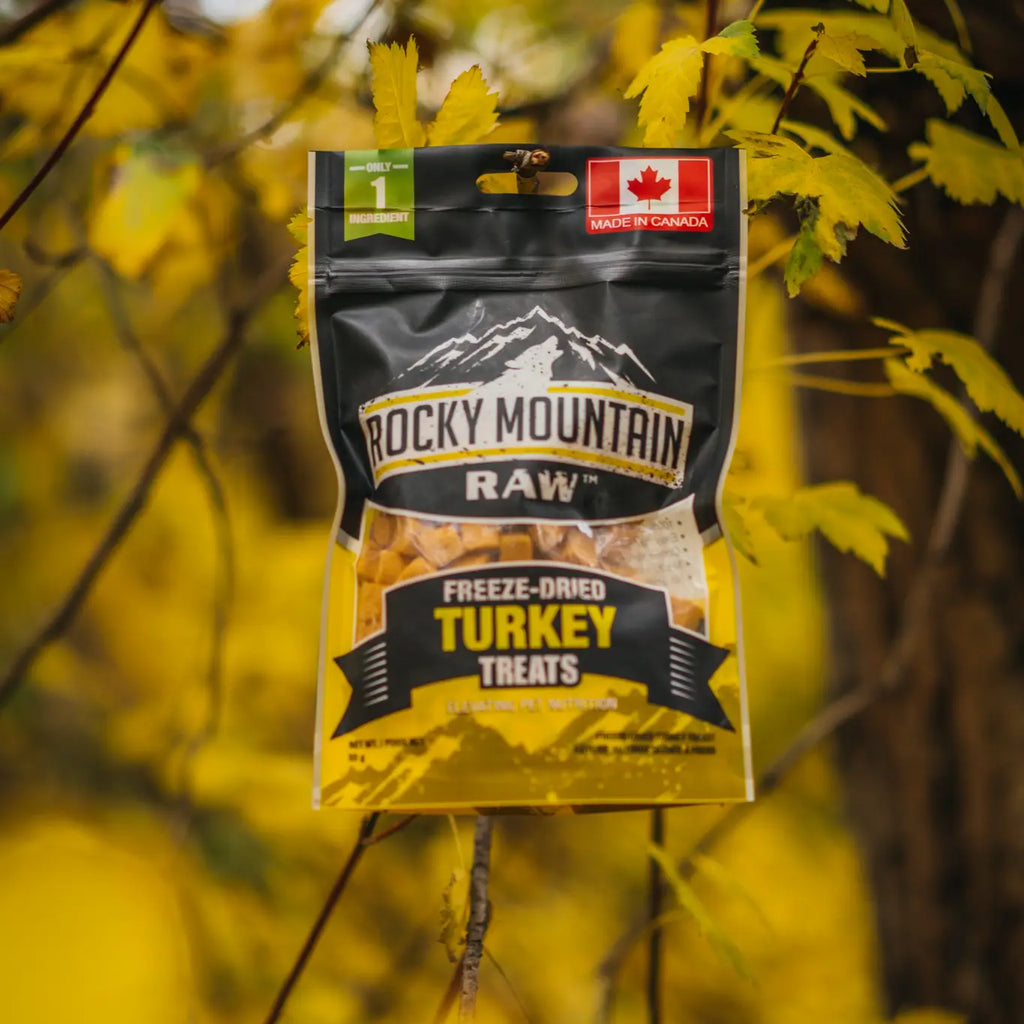 Freeze-Dried Turkey Treats Dog Food - TOODIPET