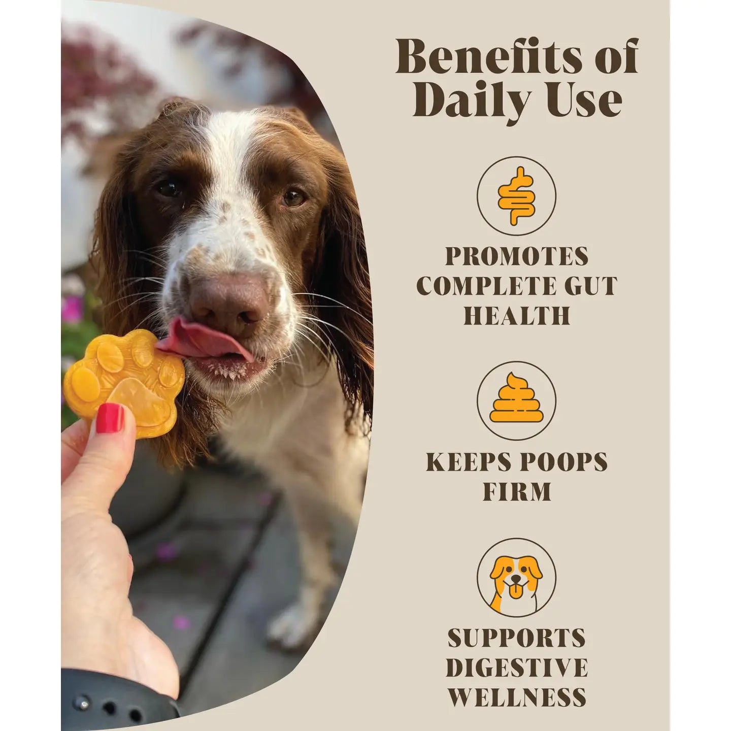 Pre & Probiotics For Dogs | Real Pumpkin Powder + Probiotic - TOODIPET