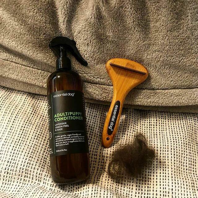 Natural Bamboo Dog Deshedding Tool: Cats & Dogs - TOODIPET