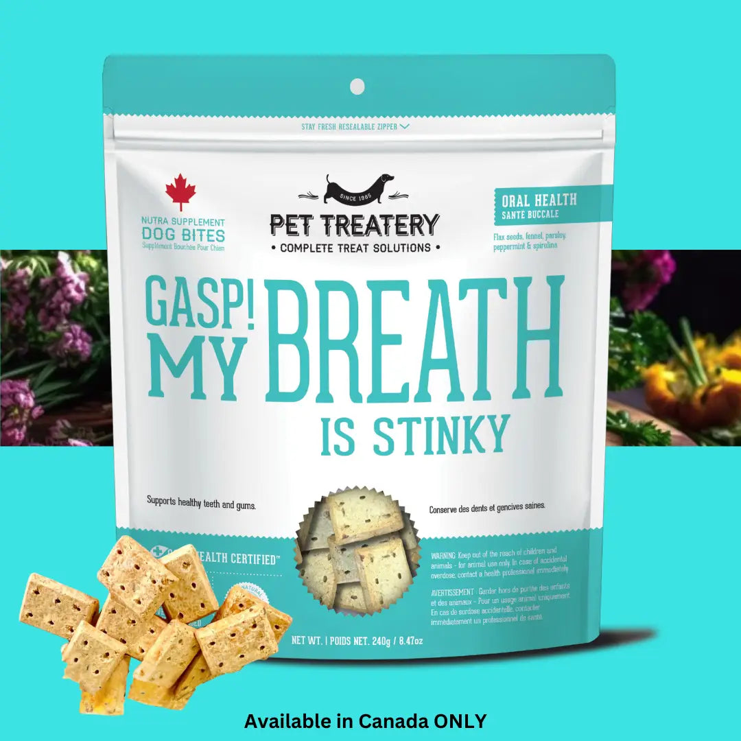 Dog Supplements- Oral Health Supplement Dog Herbal Bites - TOODIPET