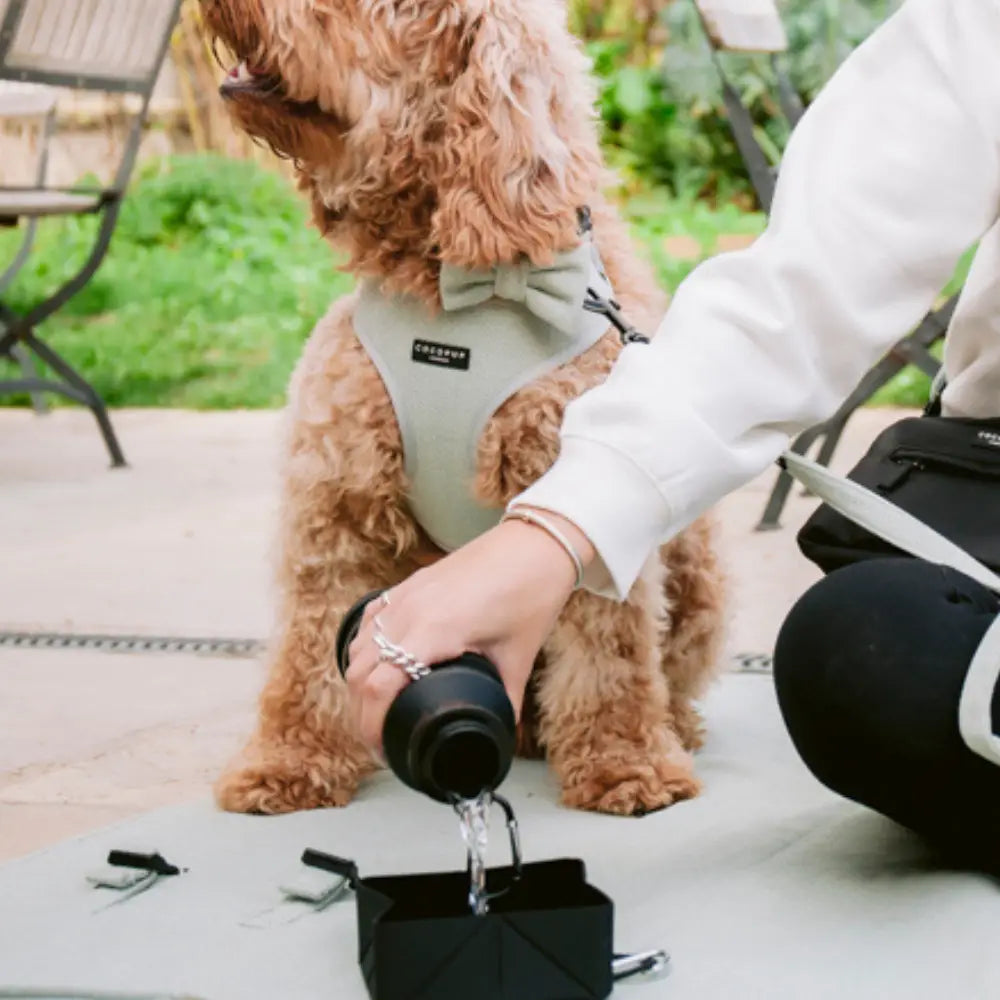 Foldable Travel Bowl Puppy- Black