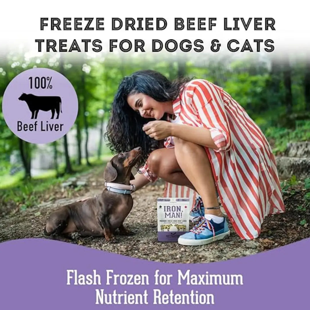 Beef Liver Freeze-Dried Pet Treats: Protein & Nutrient Rich - TOODIPET