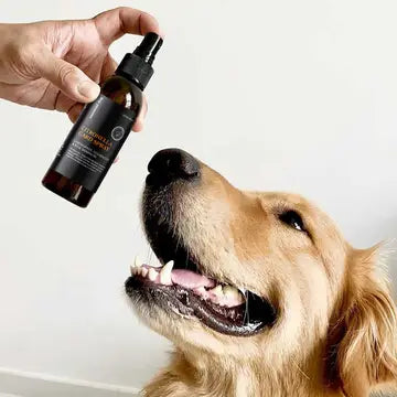 Citronella Gard Spray Dog (Lemongrass, Cedarwood & Geranium) - TOODIPET