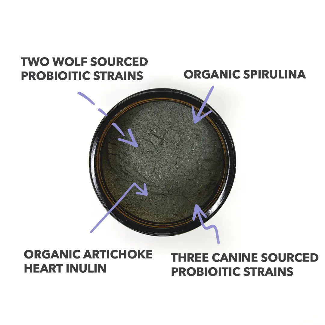 Probiotic Dog Supplements - TOODIPET