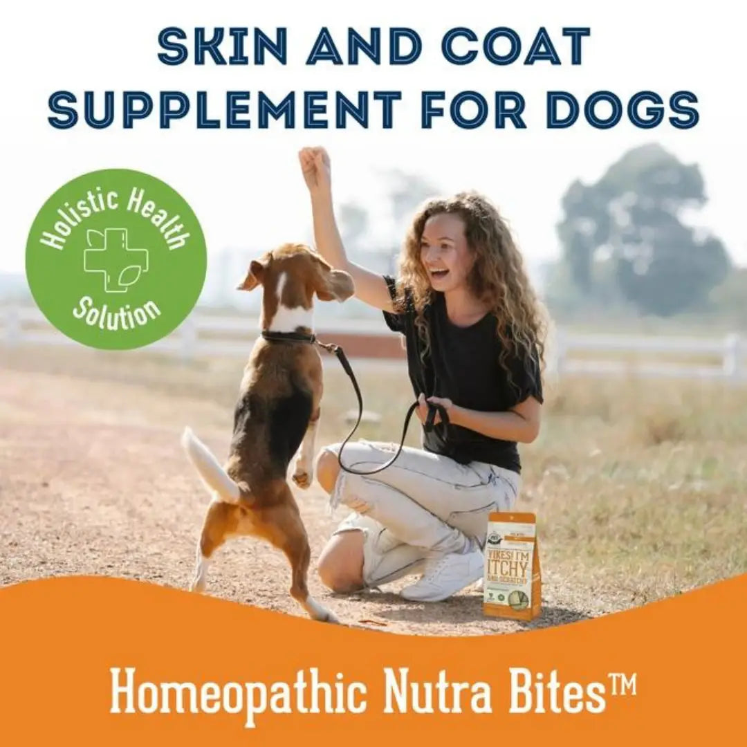 Dog Supplements- Skin & Coat Supplement Dog Herbal Bites - TOODIPET
