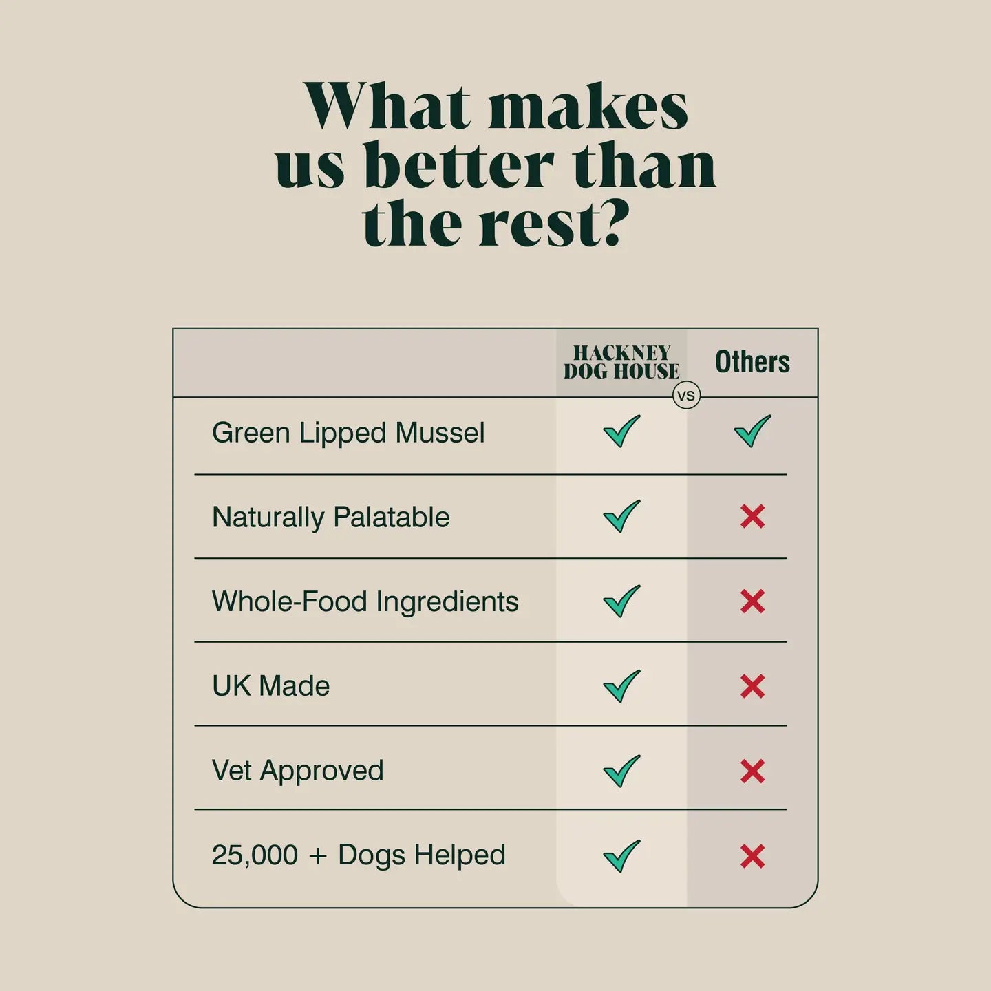 Green Lipped Mussel Powder Food For Dogs - TOODIPET