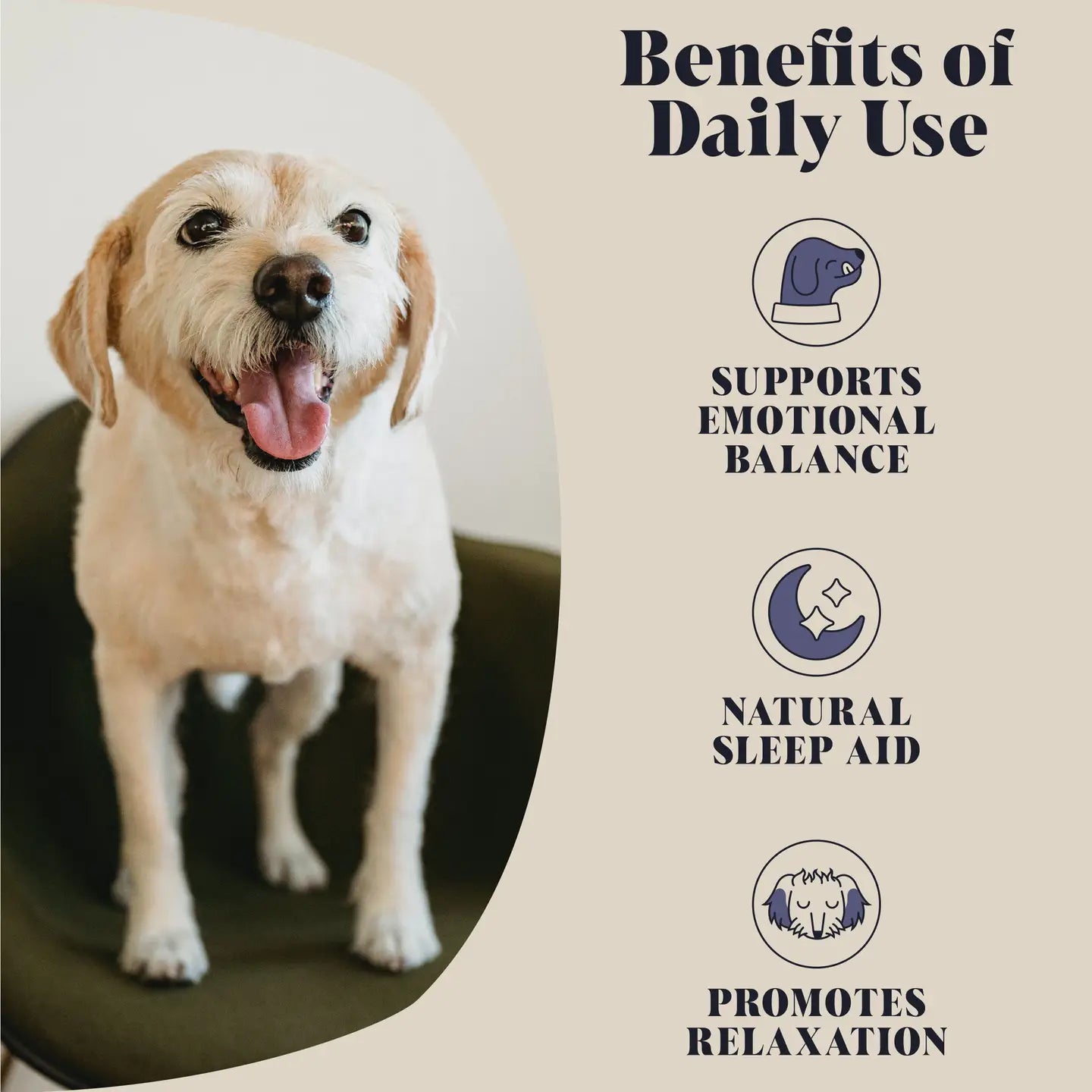 Calming Goats Milk Powder Food For Dogs - TOODIPET