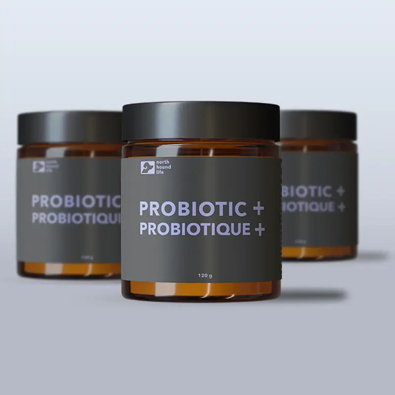 Probiotic Dog Supplements - TOODIPET