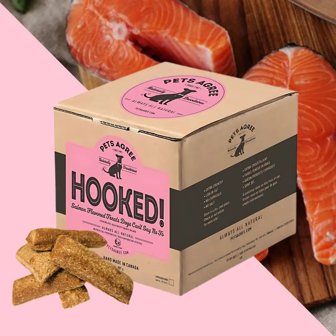Wild Salmon Large Dog Biscuit Treats: Teeth-Cleaning 2lb - TOODIPET