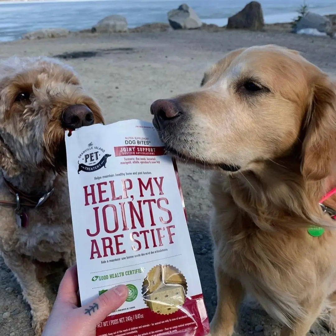 Dog Supplements- Joint & Bone Supplement Dog Herbal Bites - TOODIPET