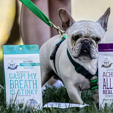 Dog Supplements- Oral Health Supplement Dog Herbal Bites - TOODIPET