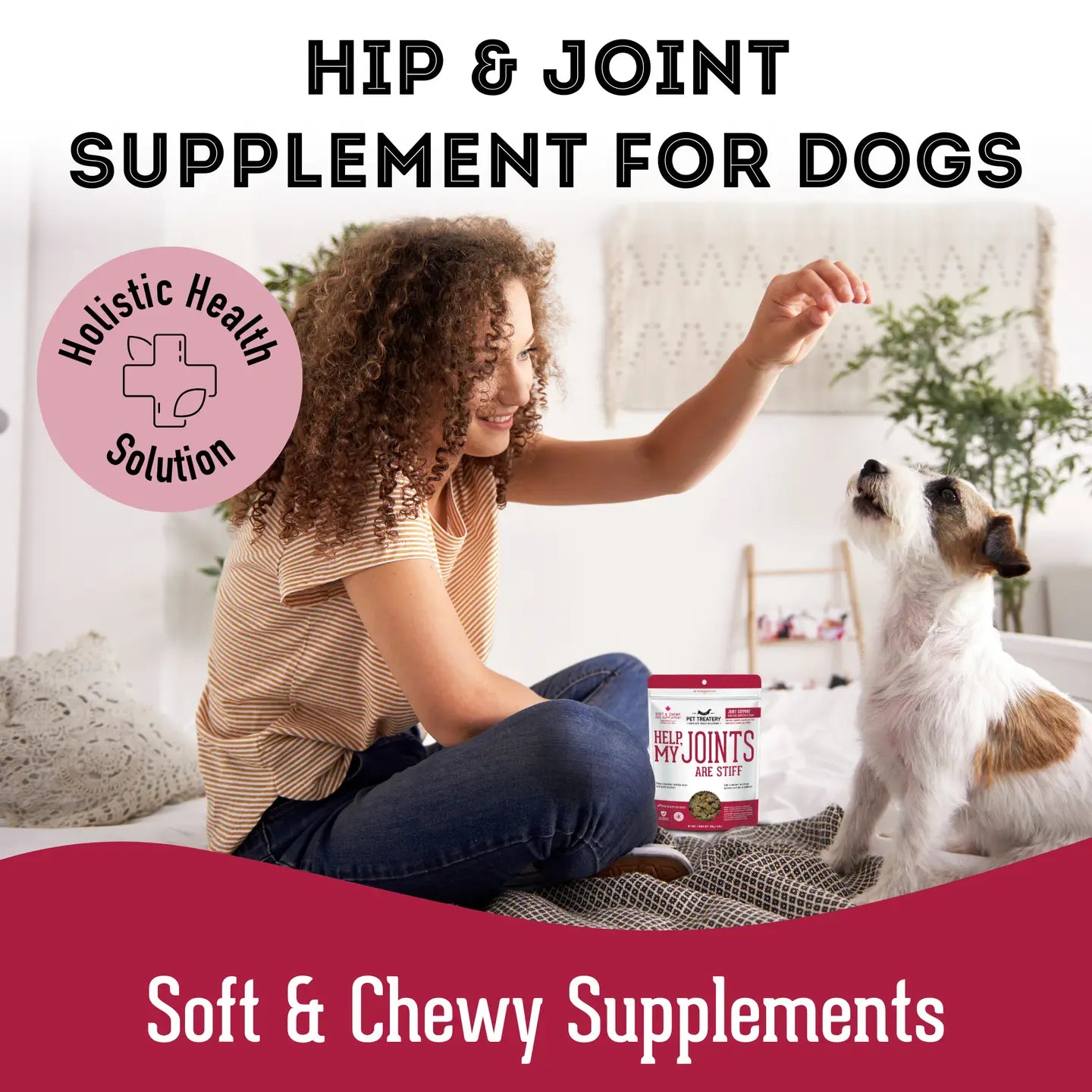 Soft & Chewy Supplement Hip & Joint Supplement For Dogs 150g - TOODIPET