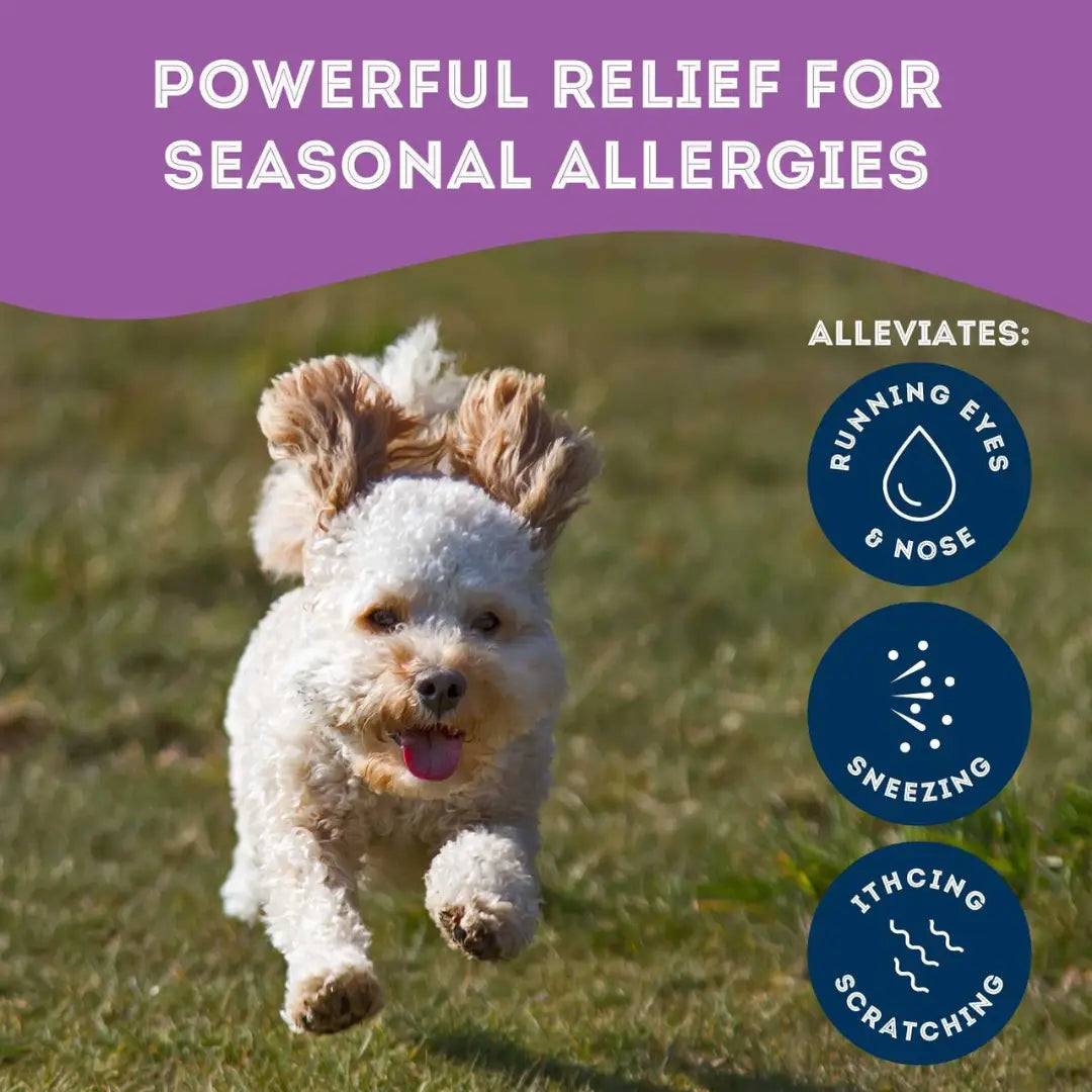 Dog Supplements- Allergy Support Dog Herbal Bites - TOODIPET
