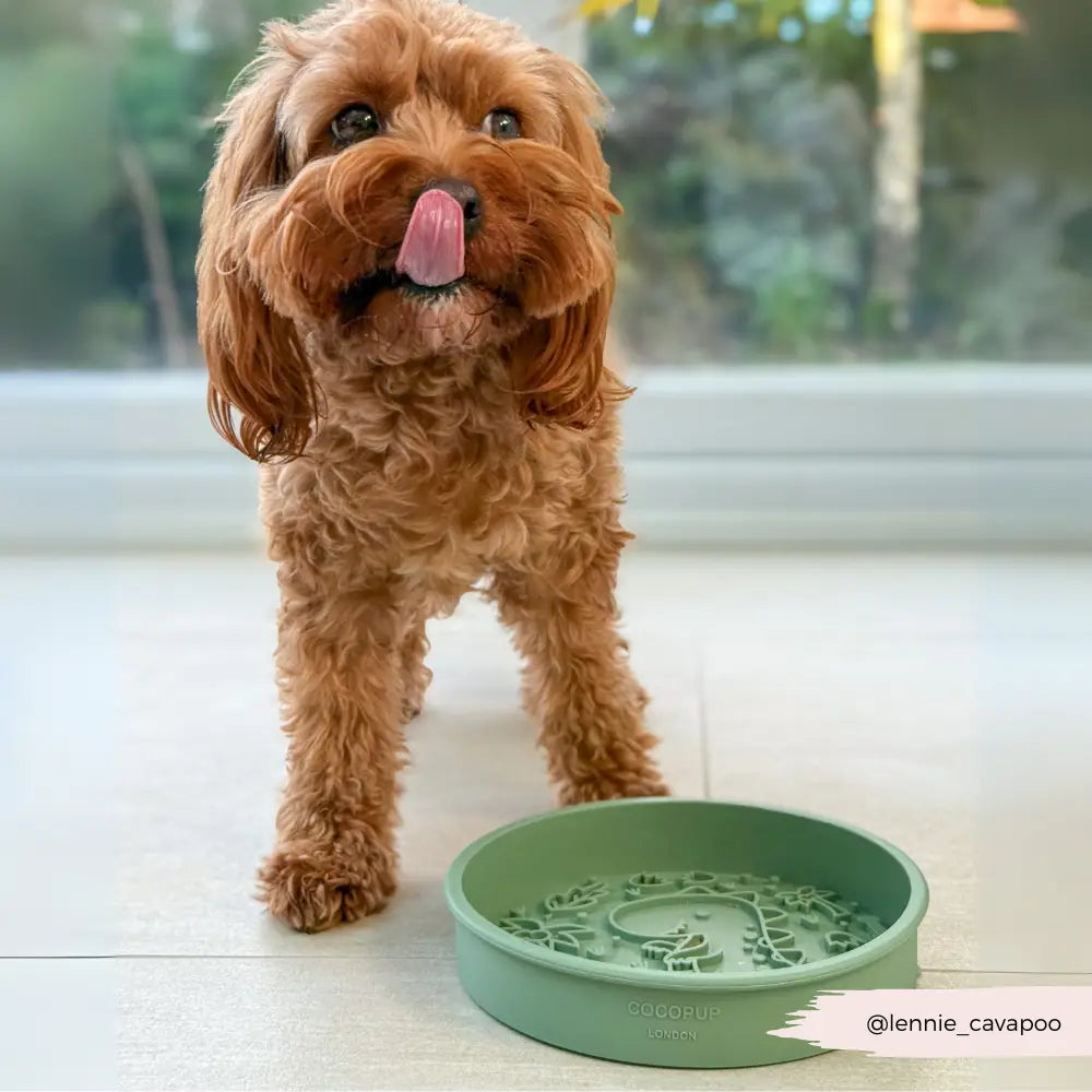 Silicone Slow Feed Puppy Dog Bowl - Dinopaws