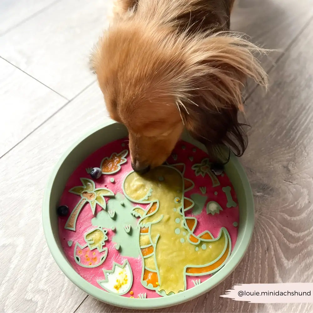 Silicone Slow Feed Puppy Dog Bowl - Dinopaws