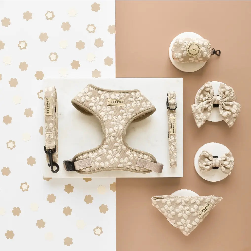 Luxe Puppy Collar - Mocha Flower