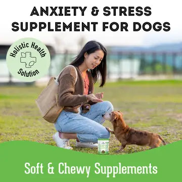Soft & Chewy Supplement Calming Supplement For Dogs 150g - TOODIPET