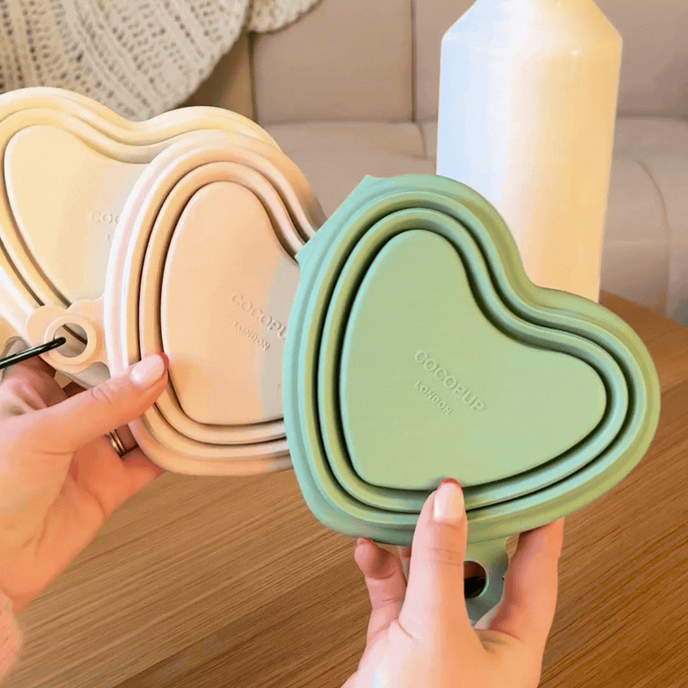 Heart Collapsible puppy Bowl - Cream