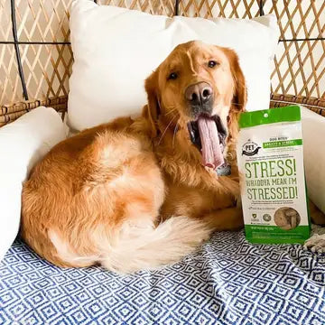 Dog Supplements-Stress & Anxiety Supplement Dog Herbal Bites - TOODIPET