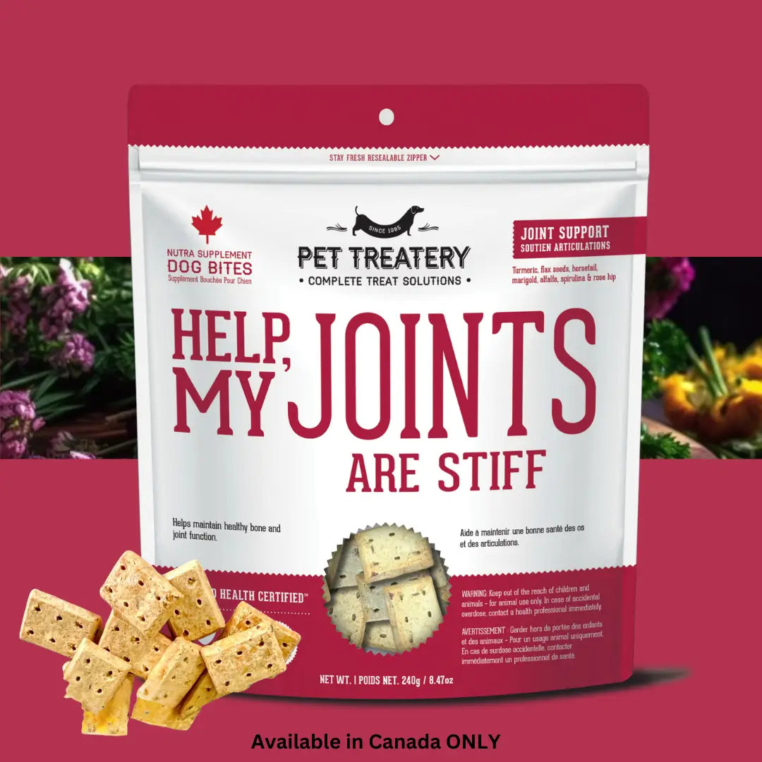 Dog Supplements- Joint & Bone Supplement Dog Herbal Bites - TOODIPET