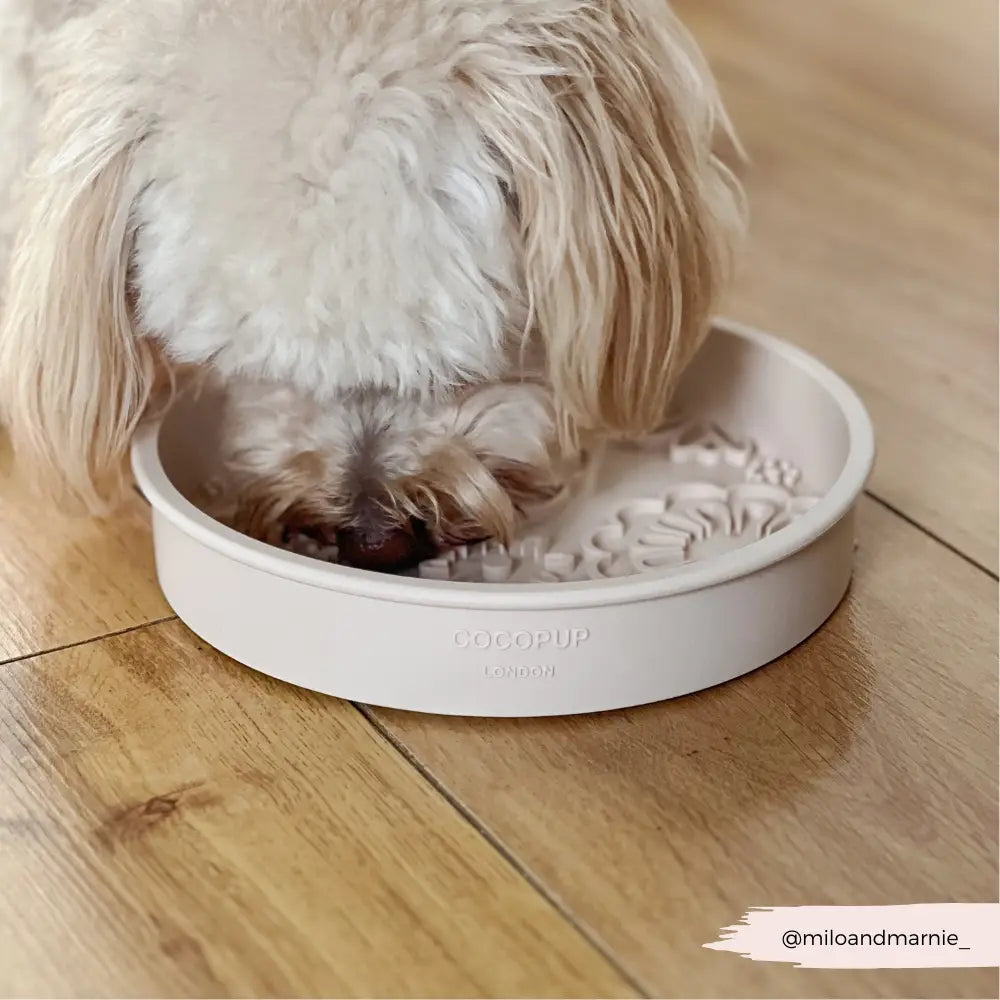Silicone Slow Feed Puppy Dog Bowl - Baby Pink Flowers