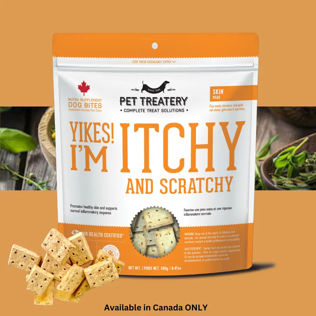 Dog Supplements- Skin & Coat Supplement Dog Herbal Bites - TOODIPET