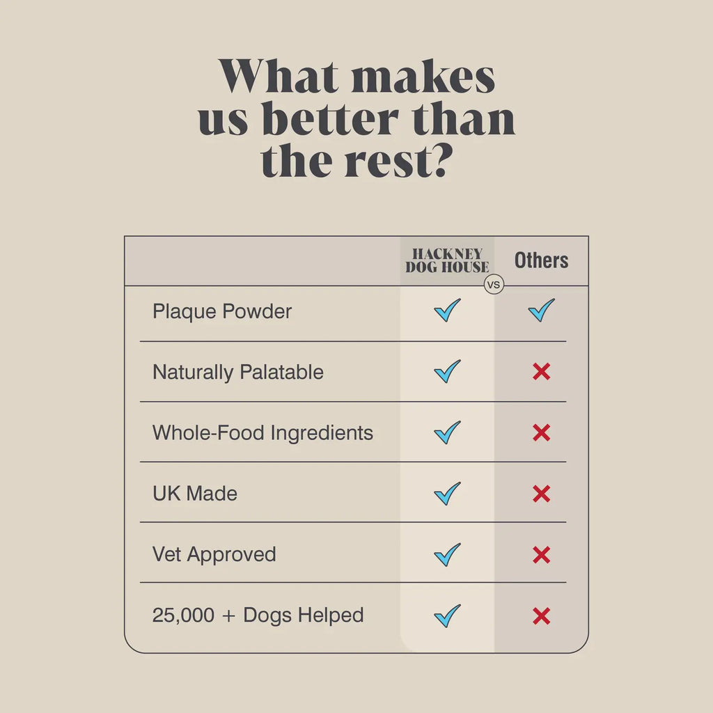 Single Pack | Plaque Seaweed Powder Food For Dogs | 80 Servings - TOODIPET