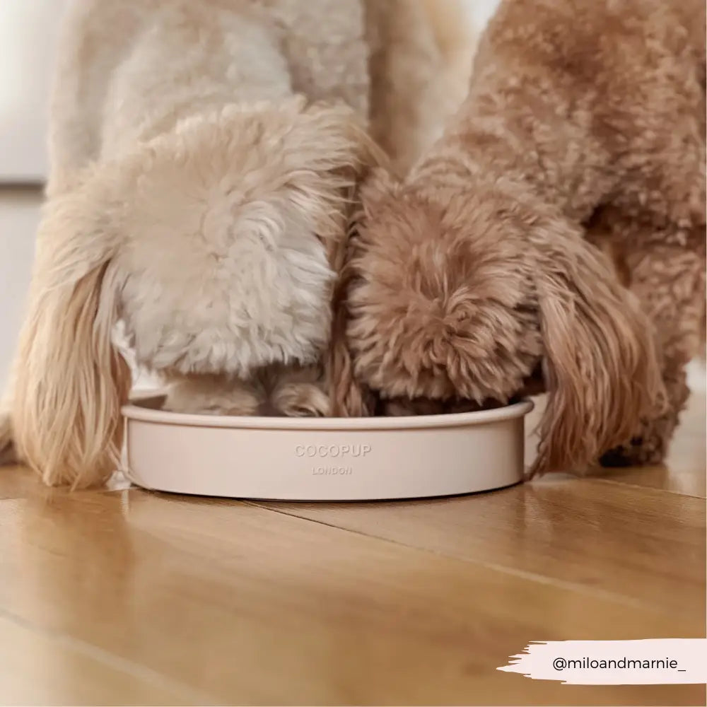 Silicone Slow Feed Puppy Dog Bowl - Baby Pink Flowers
