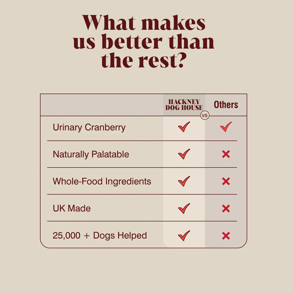 Urinary Cranberry For Dogs - TOODIPET